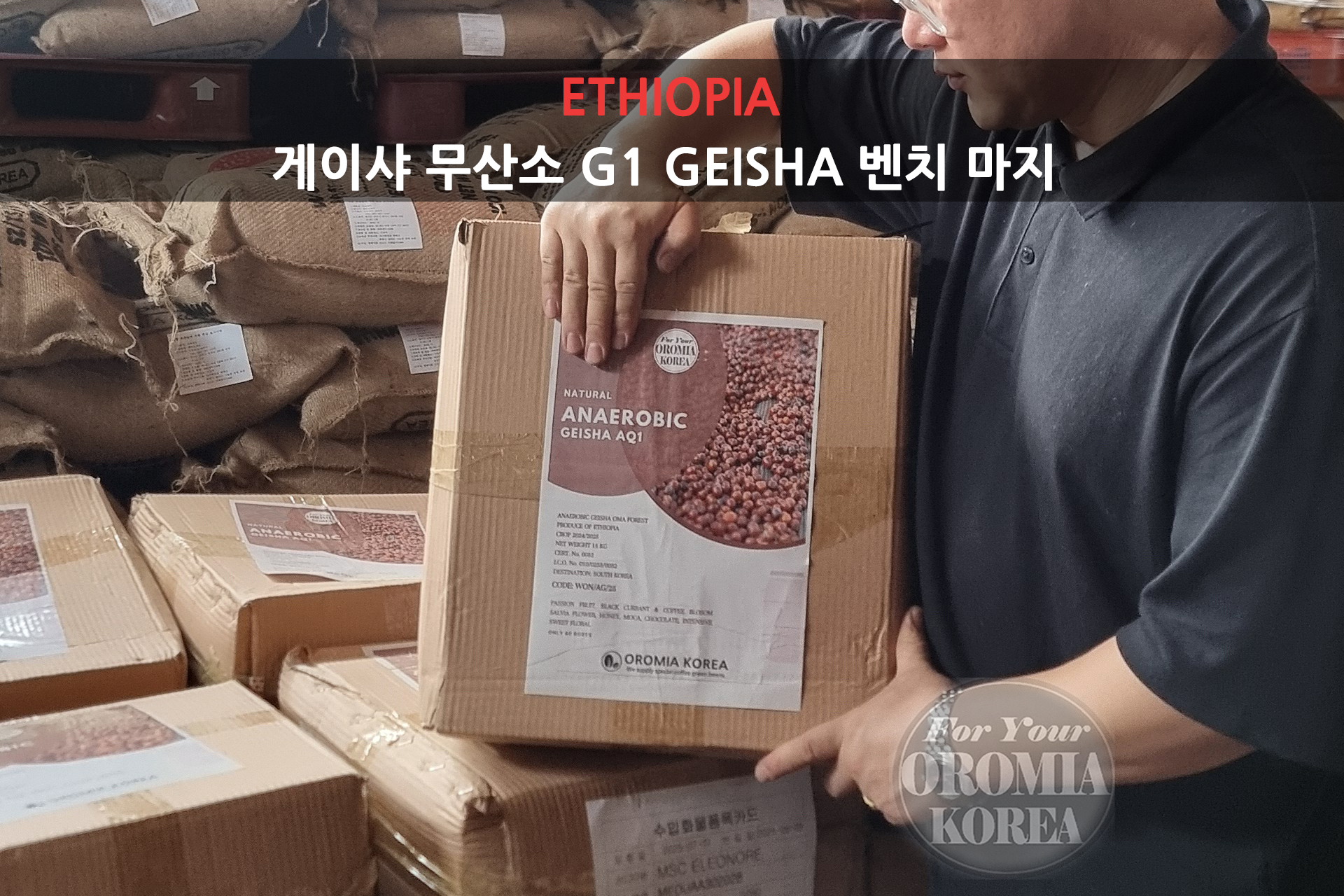 [에티오피아] 게이샤 G1 무산소_벤치마지_딸기와인 캔디