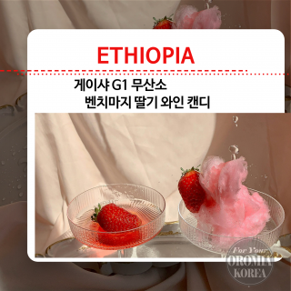 8/24 행사 3% [에티오피아] 게이샤 G1 무산소_벤치마지 숲_STRAWBERRY WINE CANDY