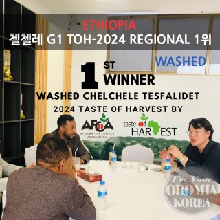 [에티오피아] 첼첼레 G1 워시드_2025 Crop TOH24 1위 농장_테스파