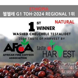 [에티오피아] 첼첼레 G1 내츄럴_2025 Crop TOH24 1위 농장_테스파