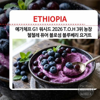 8/24 행사 3% [에티오피아] 첼첼레 G1 워시드_2026 TOH 3rd_BLOSSOM BLUEBERRY YOGURT