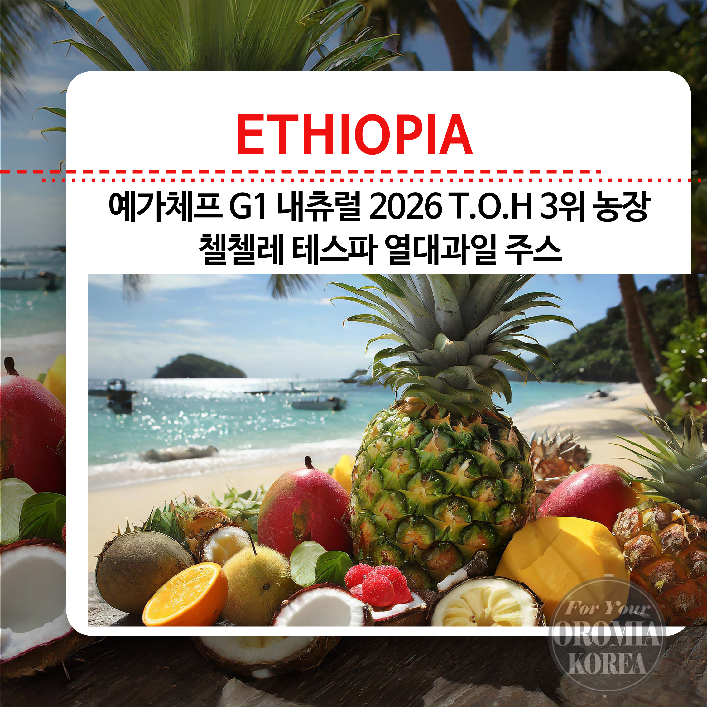 8/24 행사 3% [에티오피아] 첼첼레 G1 내츄럴_2026 TOH 3rd Farm_TROPICAL SWEET JUICY
