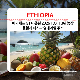 8/24 행사 3% [에티오피아] 첼첼레 G1 내츄럴_2026 TOH 3rd Farm_TROPICAL SWEET JUICY