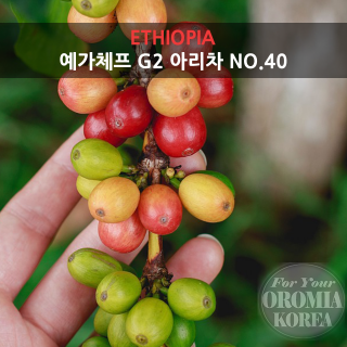 [에티오피아] 예가체프 G2 워시드_아리차 NO.40 우반치_블랙허니티