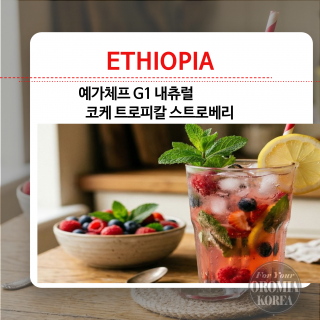 [에티오피아] 코케 G1 내추럴_TROPICAL STRAWBERRY