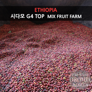 [에티오피아] 시다모 G4 TOP 내츄럴_블루호라_믹스 후르츠 팜