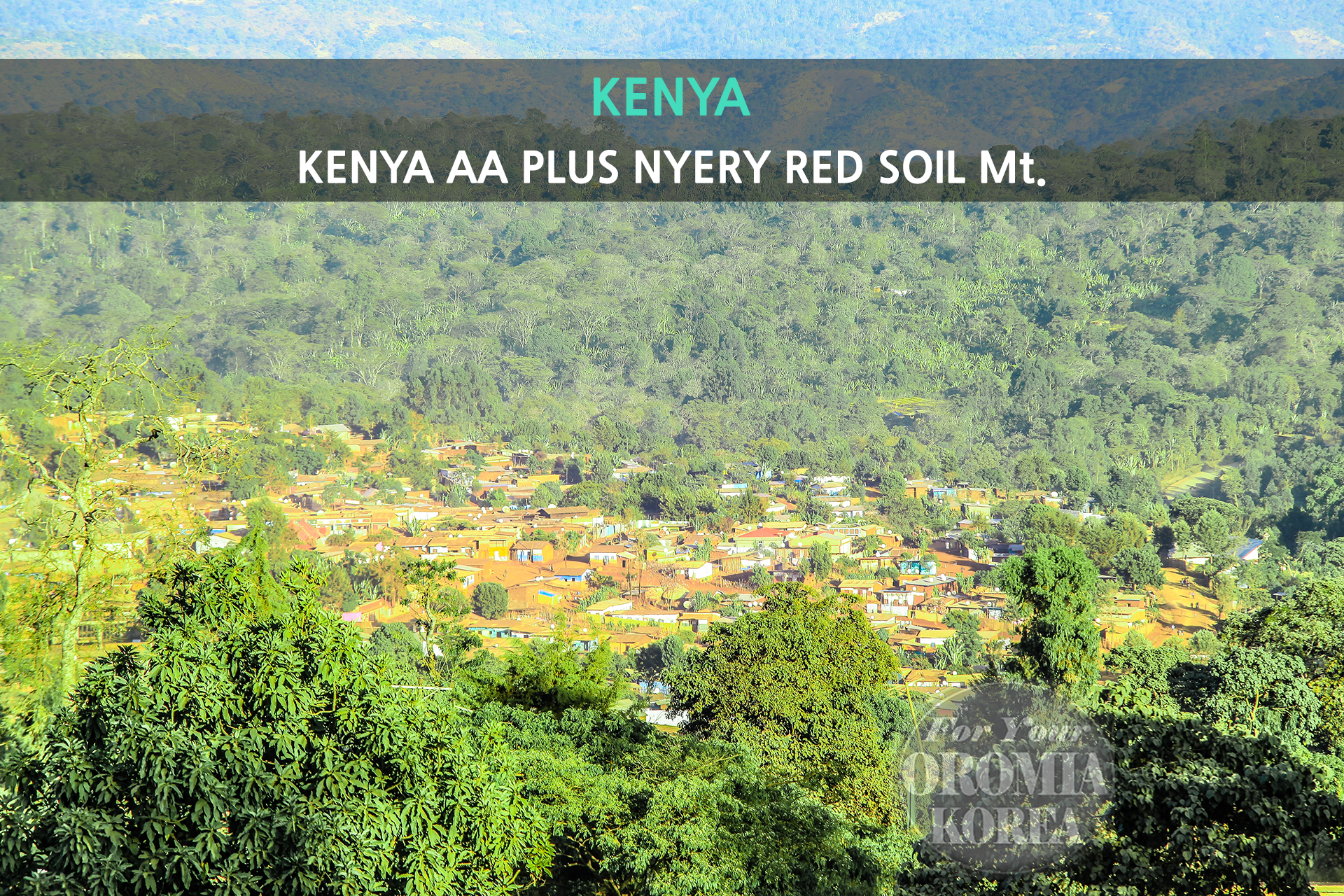 [케냐] AA PLUS 워시드_니에리_Red Soil Mt