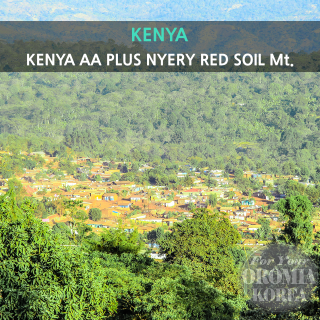 [케냐] AA PLUS 워시드_니에리_Red Soil Mt