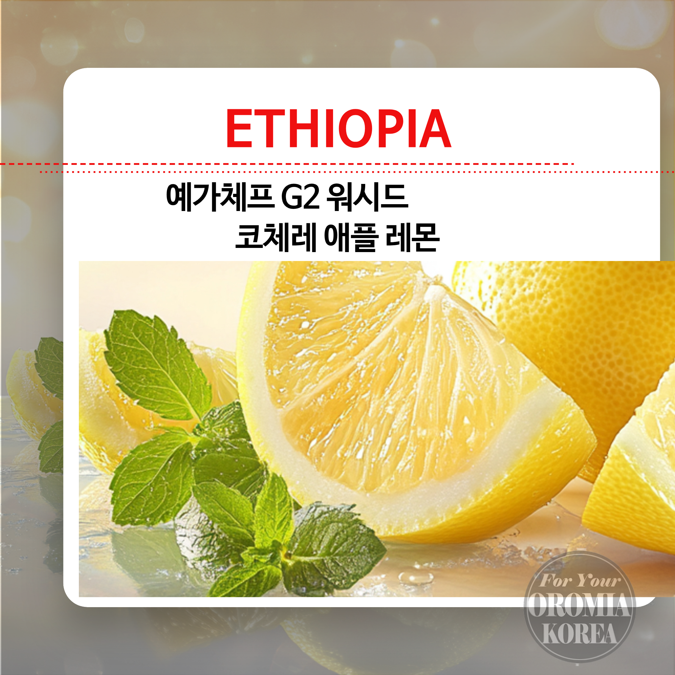 곧품절 [에티오피아] 예가체프 G2 워시드_KOCHERE_APPLE LEMON