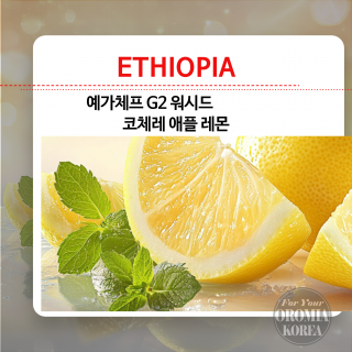 곧품절 [에티오피아] 예가체프 G2 워시드_KOCHERE_APPLE LEMON