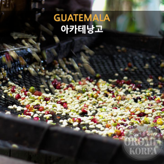 [과테말라] 아카테낭고 SHP EP 워시드 *한국QC 더블핸드픽