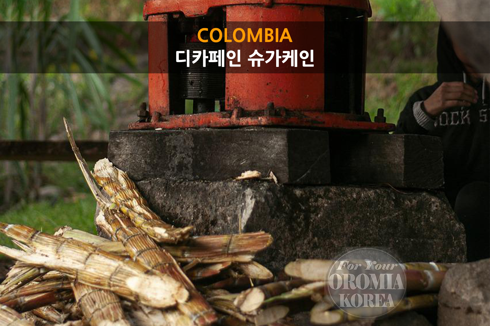 [콜롬비아 DECAFFEINE] 슈가케인_카우카 포페이안