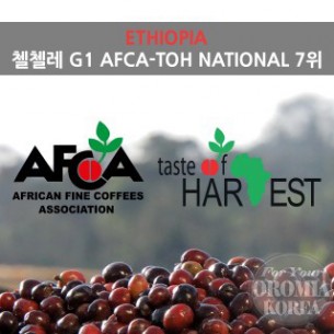 [에티오피아] 첼첼레 G1_TOH National 7위_ 아제브 (Natural)