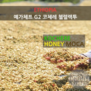 [에티오피아] 예가체프 G2 코체레 첼렐렉투_ 허니모카 (Washed)