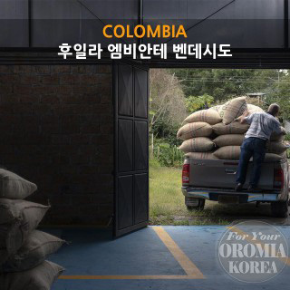 [콜롬비아] 후일라 엠비안테 벤데시도 수프리 모 - 핸드픽 (Fully Washed)