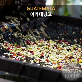 [과테말라] 아카테낭고 SHB EP - 핸드픽  (Fully Washed)